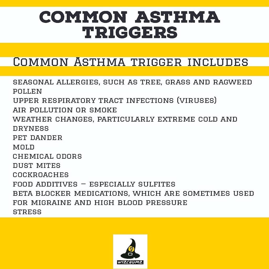 Asthma It's causes symptoms and treatments. 